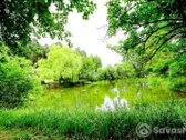 Prestižinėje Balsių Vietoje – Europos Parko G - nuotraukos Nr. 19