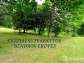 Prestižinėje Balsių Vietoje – Europos Parko G - nuotraukos Nr. 20