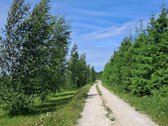 Parduodamas perspektyvioje vietoje šalia - nuotraukos Nr. 2