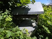 Jadagonyse,visai šalia miško ir netoli Nemuno - nuotraukos Nr. 15