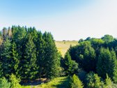 Parduodamas 5,9680 Ha Žemės Ūkio Paskirties - nuotraukos Nr. 22