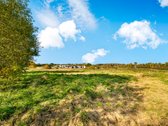 Parduodamas 1,78 ha žemės ūkio paskirties - nuotraukos Nr. 24