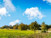 Parduodamas 1,78 ha žemės ūkio paskirties - nuotraukos Nr. 25