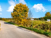 Parduodamas 1,78 ha žemės ūkio paskirties - nuotraukos Nr. 12