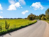 Parduodamas 1,78 ha žemės ūkio paskirties - nuotraukos Nr. 16