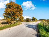 Parduodamas 1,78 ha žemės ūkio paskirties - nuotraukos Nr. 11