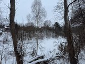 Sodas Gervėnupį, Kauno r. Isskirtinis sklypas - nuotraukos Nr. 20