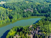 Parduodamas 0,7198 Ha Miškų Ūkio Paskirties - nuotraukos Nr. 3