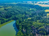 Parduodamas 0,7198 Ha Miškų Ūkio Paskirties - nuotraukos Nr. 4