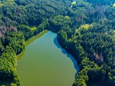 Parduodamas 0,7198 Ha Miškų Ūkio Paskirties - nuotraukos Nr. 5
