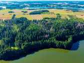 Parduodamas 0,7198 Ha Miškų Ūkio Paskirties - nuotraukos Nr. 2