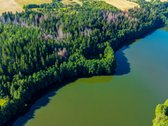Parduodamas 0,7198 Ha Miškų Ūkio Paskirties - nuotraukos Nr. 8