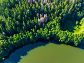 Parduodamas 0,7198 Ha Miškų Ūkio Paskirties - nuotraukos Nr. 9