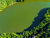 Parduodamas 0,7198 Ha Miškų Ūkio Paskirties - nuotraukos Nr. 10