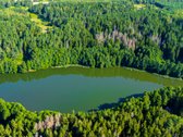 Parduodamas 0,7198 Ha Miškų Ūkio Paskirties - nuotraukos Nr. 11