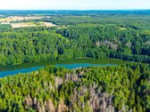Parduodamas 0,7198 Ha Miškų Ūkio Paskirties - nuotraukos Nr. 12
