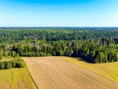 Parduodamas 0,7198 Ha Miškų Ūkio Paskirties - nuotraukos Nr. 14