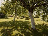 Parduodamas tvarkingas 6 arų žemės sklypas su - nuotraukos Nr. 21