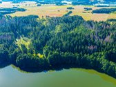 Parduodamas 0,7198 Ha Miškų Ūkio Paskirties - nuotraukos Nr. 6