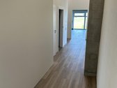 Klaipėdos mieste, Palangos plente - nuotraukos Nr. 6