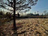 Taisyklingos formos sodo sklypas - nuotraukos Nr. 2
