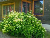 Parduodama Rąstinio Sodo Namo Šalia Miško 1/2 - nuotraukos Nr. 16