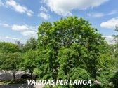 Parduodamas Jaukus 2 Kambarių Butas Žėručio G - nuotraukos Nr. 3