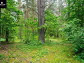 Autentiška Sodyba Jūsų Poilsiui Ar Kaimo - nuotraukos Nr. 31