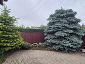 Parduoda Savininkas - nuotraukos Nr. 6