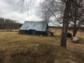 Parduodama Sodyba Su 12,57 Ha Žemės Ir - nuotraukos Nr. 5