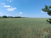 Bendra Informacija - nuotraukos Nr. 5