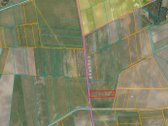 Vanagų kaime parduodamas 91a žemės ūkio - nuotraukos Nr. 5