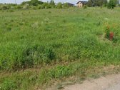 Parduodamas 25 arų namų valdos sklypas - nuotraukos Nr. 2