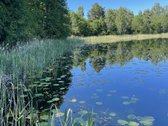 Rytoj liepos 18-19dd. Laisvas. - nuotraukos Nr. 34