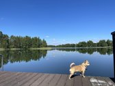 Rytoj liepos 18-19dd. Laisvas. - nuotraukos Nr. 36