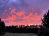 Rytoj liepos 18-19dd. Laisvas. - nuotraukos Nr. 38
