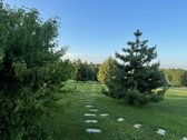 Rytoj liepos 18-19dd. Laisvas. - nuotraukos Nr. 43