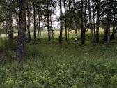 Du skirtingų paskirčių sklypai. Vienas 6 arų - nuotraukos Nr. 6