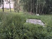 Du skirtingų paskirčių sklypai. Vienas 6 arų - nuotraukos Nr. 5