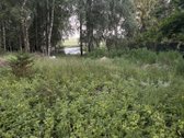 Du skirtingų paskirčių sklypai. Vienas 6 arų - nuotraukos Nr. 7