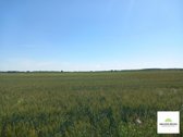 Parduodamas 2,27 ha žemės ūkio paskirties - nuotraukos Nr. 5