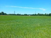 Parduodamas 2,27 ha žemės ūkio paskirties - nuotraukos Nr. 6