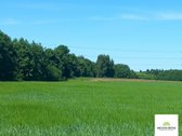 Parduodamas 2,27 ha žemės ūkio paskirties