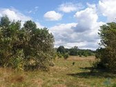 Parduodamas 20 Arų Namų Valdos Sklypas - nuotraukos Nr. 2