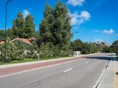 Parduodama erdvi 3 miegamųjų vila su 15 arų - nuotraukos Nr. 14