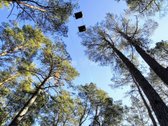 Gyventi ir poilsiauti Druskininkuose, reiškia - nuotraukos Nr. 21