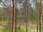 Gyventi ir poilsiauti Druskininkuose, reiškia - nuotraukos Nr. 12