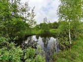 Parduodama Sodybvietė Su 6ha Žemės Sklypu – - nuotraukos Nr. 6