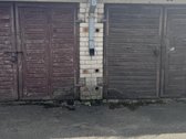 Parduodami du mūriniai garažai šalia vienas