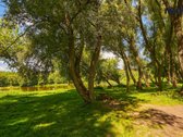 Parduodamas jaukus namas su 6,24 a sklypu - nuotraukos Nr. 40